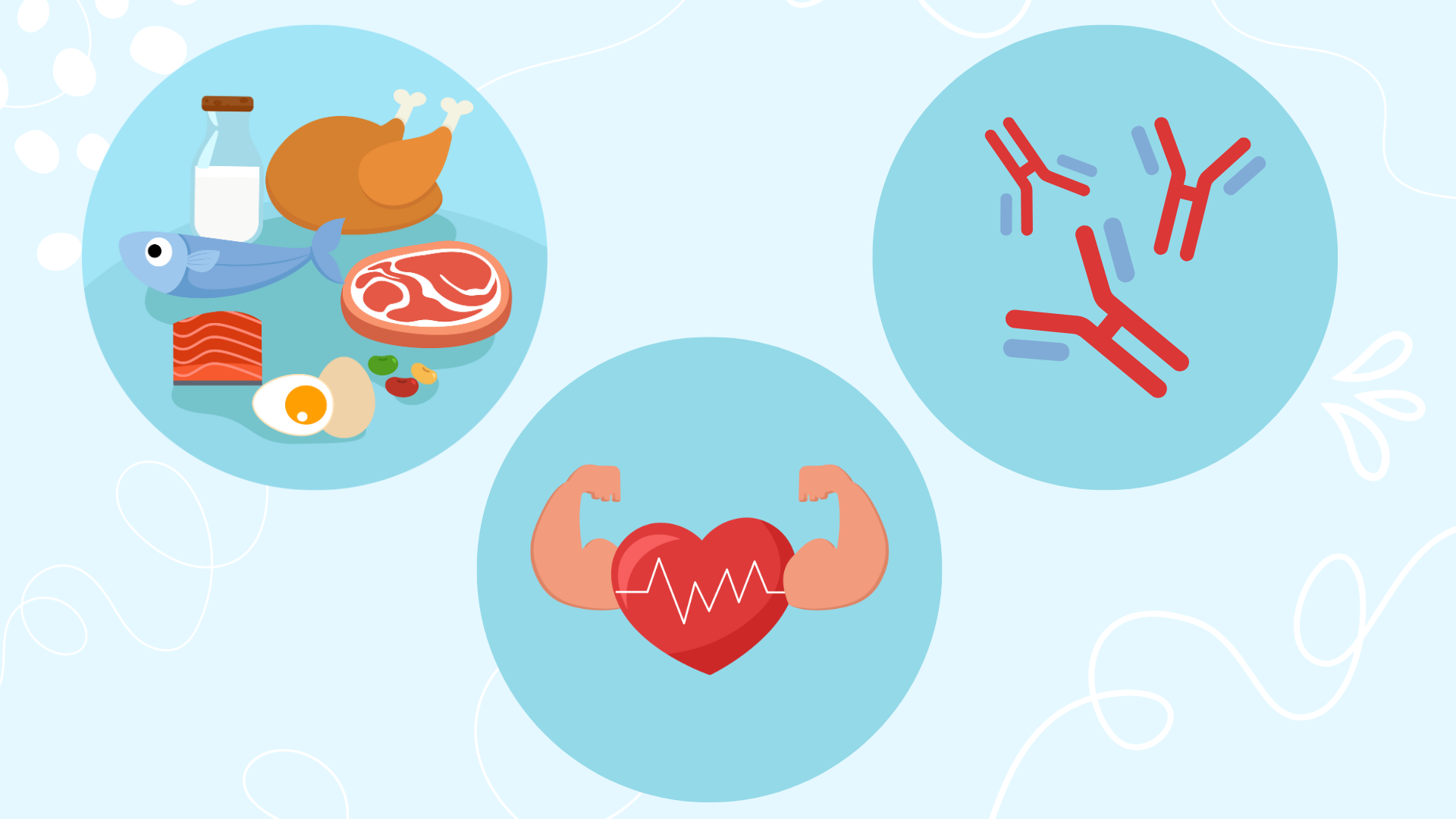 What Is Protein?